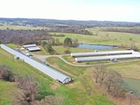 John And Joel Breeder Farm : Boaz : Marshall County : Alabama