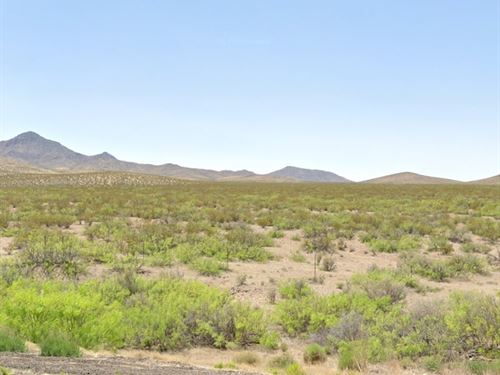 Cheap NM Land, 0.50 Acres : Deming : Luna County : New Mexico