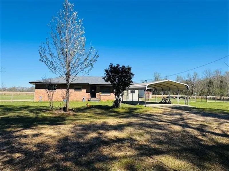 Nice Brick Home On 1.59 Acres / Sw : Osyka : Pike County : Mississippi