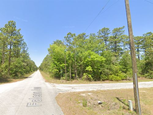 Leave Your Mark on The World : Dunnellon : Marion County : Florida