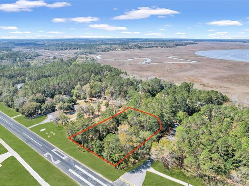 Corner Lot, Eagle Neck Fly-In Comm : Townsend : McIntosh County : Georgia