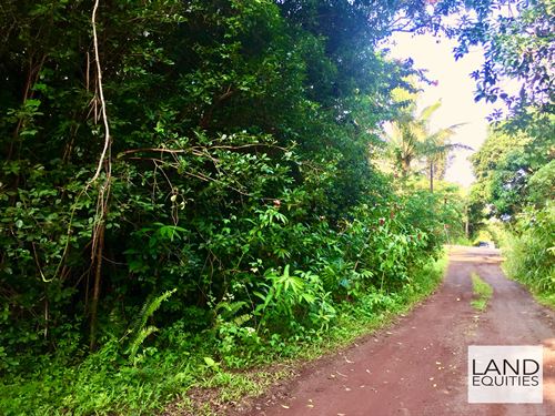 5 Minutes To Black Sand Beach : Pahoa : Hawaii County : Hawaii
