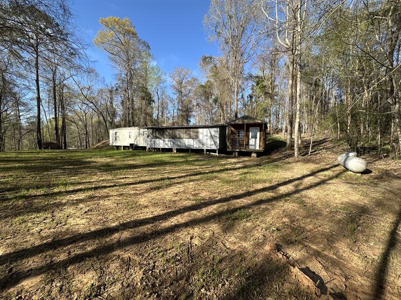 River Bluff House and Lot : Camden : Wilcox County : Alabama