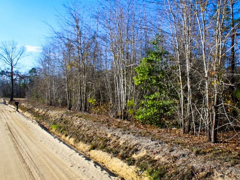 2.68 Acres of Bui : Galivants Ferry : Horry County : South Carolina