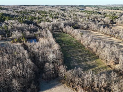 19.71 Acres In Hardeman County, TN : Toone : Hardeman County : Tennessee