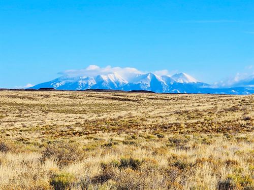 7.5 Acres with Driveway for Camping : San Luis : Costilla County : Colorado