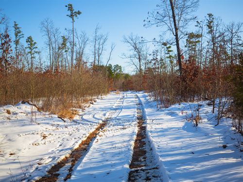 $999 Down Texas County Land : Hartshorn : Texas County : Missouri