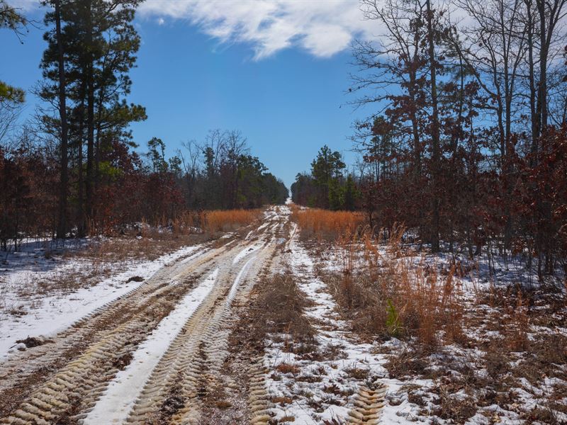 $999 Down, Multiple Tracts Avail : Hartshorn : Texas County : Missouri