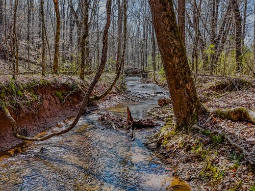 Vanns Creek Lot 10 : Rome : Floyd County : Georgia