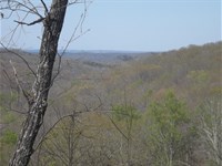 View, Creek, Spots to Build : Pikeville : Bledsoe County : Tennessee