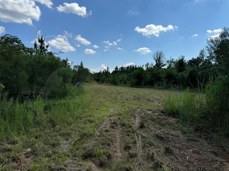 10 +/- Acres Located in Brookhaven : Brookhaven : Lincoln County : Mississippi