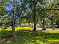 .82 Acres-Simpson County : D'lo : Simpson County : Mississippi