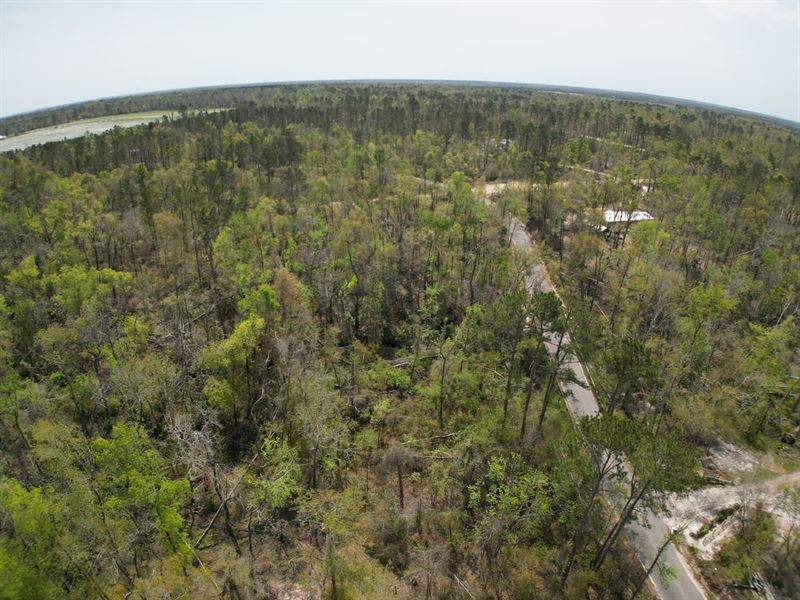 Vacant Lot in Jennings, FL Hamilto : Jennings : Hamilton County : Florida