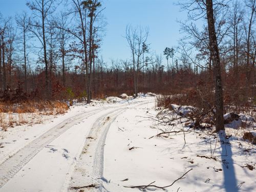 $999 Down, Multiple Adjacent Tracts : Hartshorn : Texas County : Missouri