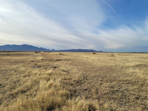 NM Desert, Big Sky, $79 : Deming : Luna County : New Mexico