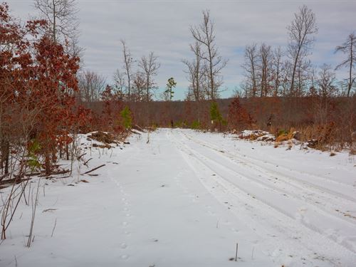 Invest in Land with $999 to Start : Hartshorn : Texas County : Missouri