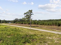 Black Creek 2.27 Homesite : Nichols : Horry County : South Carolina