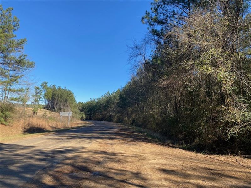 Dream Home Site : Wesson : Lincoln County : Mississippi