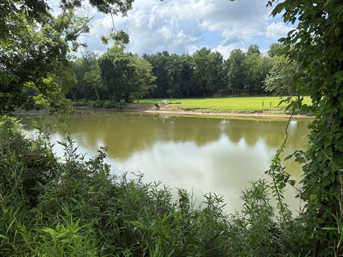 Creek Front Land for Sale in TN : Savannah : Hardin County : Tennessee