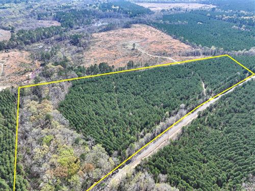 19.9 Acres, T-7, United Gas Road : Rodessa : Caddo Parish : Louisiana