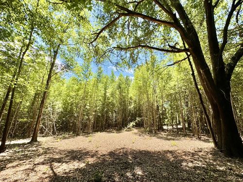 Beautiful Rural Building Lot : Jeffersonville : Twiggs County : Georgia