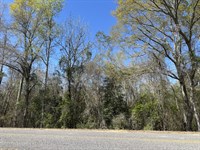County Road 47 Lot 4 Pike Co. AL : Goshen : Pike County : Alabama