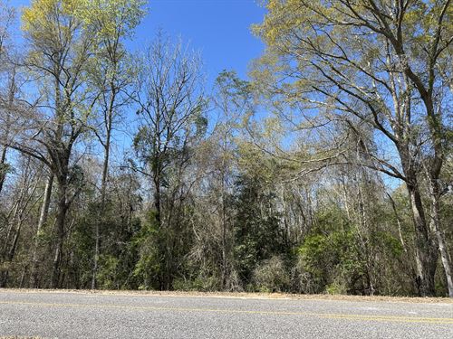 County Road 47 Lot 4 Pike Co. AL : Goshen : Pike County : Alabama