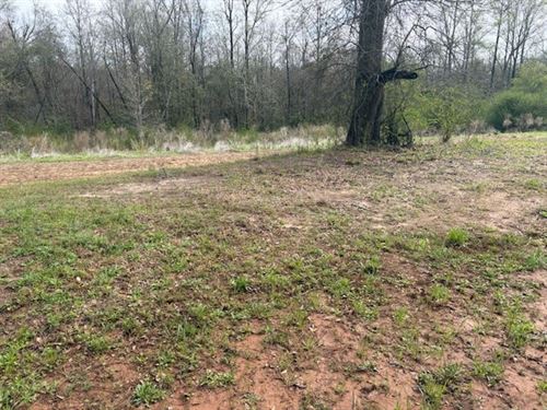 Smart Road Lot : Troy : Pike County : Alabama