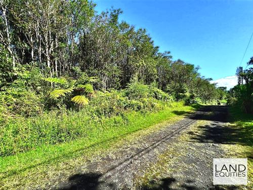 Your Own Private Tropical Hideaway : Mountain View : Hawaii County : Hawaii