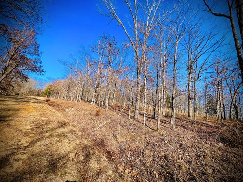 3.88 Acre Wooded in Gated Community : Edwards : Benton County : Missouri