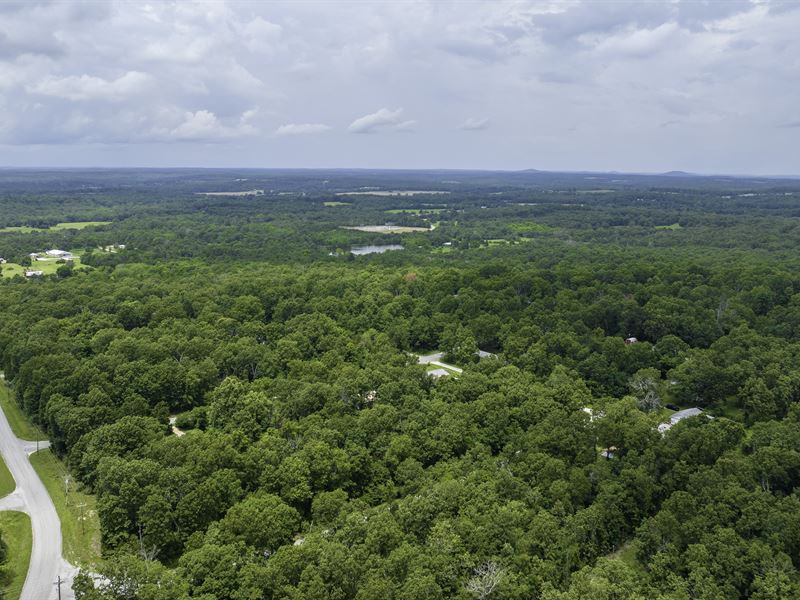 Doggie Lovers Lot : Horseshoe Bend : Izard County : Arkansas