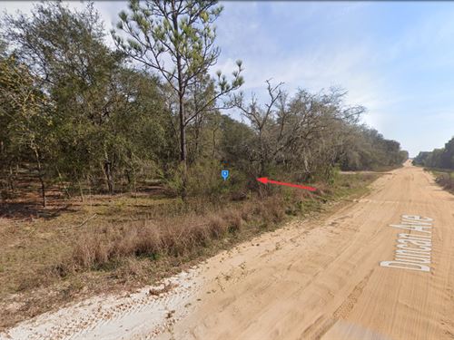 Lot in Interlachen, FL, $233/Mo : Interlachen : Putnam County : Florida