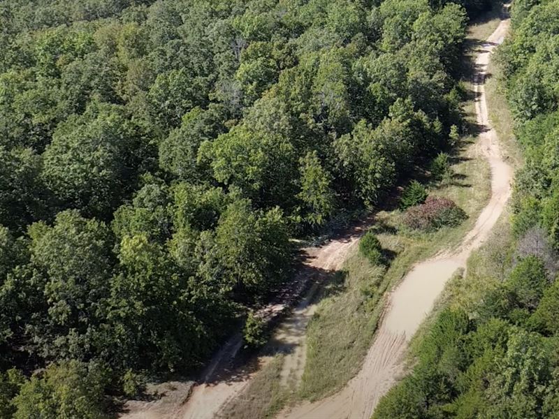 Own Part of a Trail : Horseshoe Bend : Izard County : Arkansas