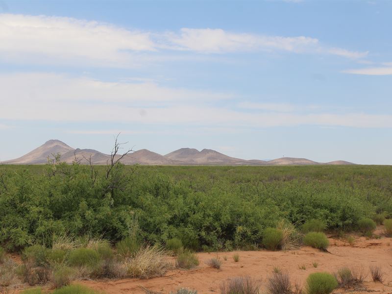 4.77 Acres in NM Only $279/Mo : Deming : Luna County : New Mexico