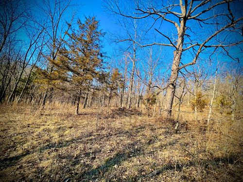 Wooded Undeveloped 4.3 Acres : Edwards : Benton County : Missouri