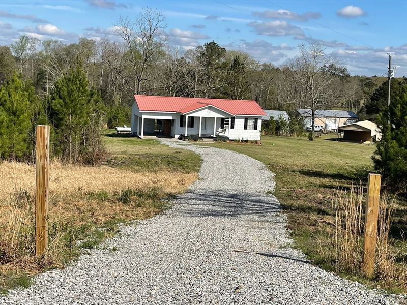 1.5 Acres with A Cabin in Simpson : Braxton : Simpson County : Mississippi
