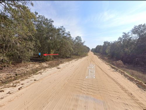 Interlachen, FL, $214/Mo : Interlachen : Putnam County : Florida