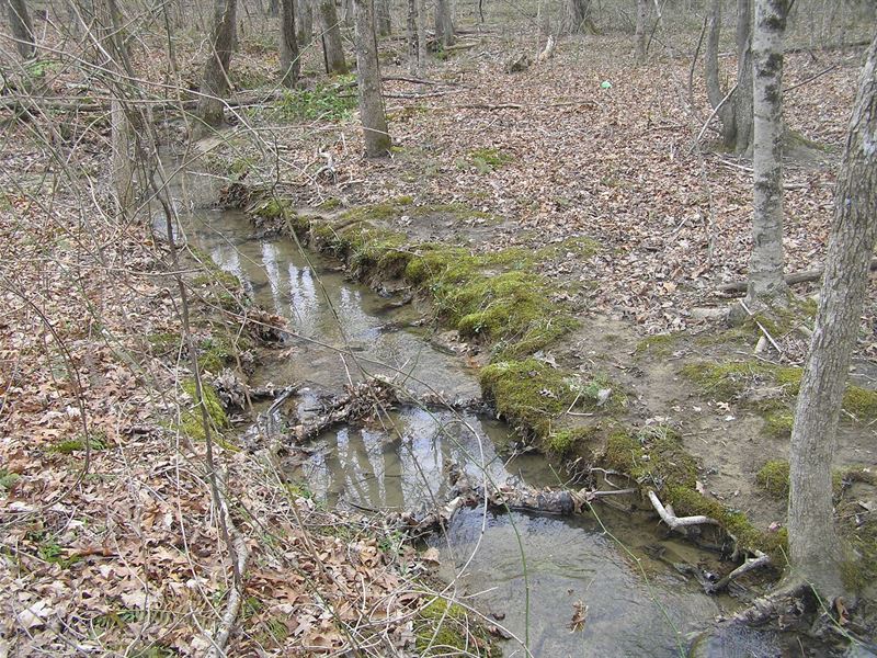 Creek, Mini Farm, No Restrictions : Pikeville : Bledsoe County : Tennessee