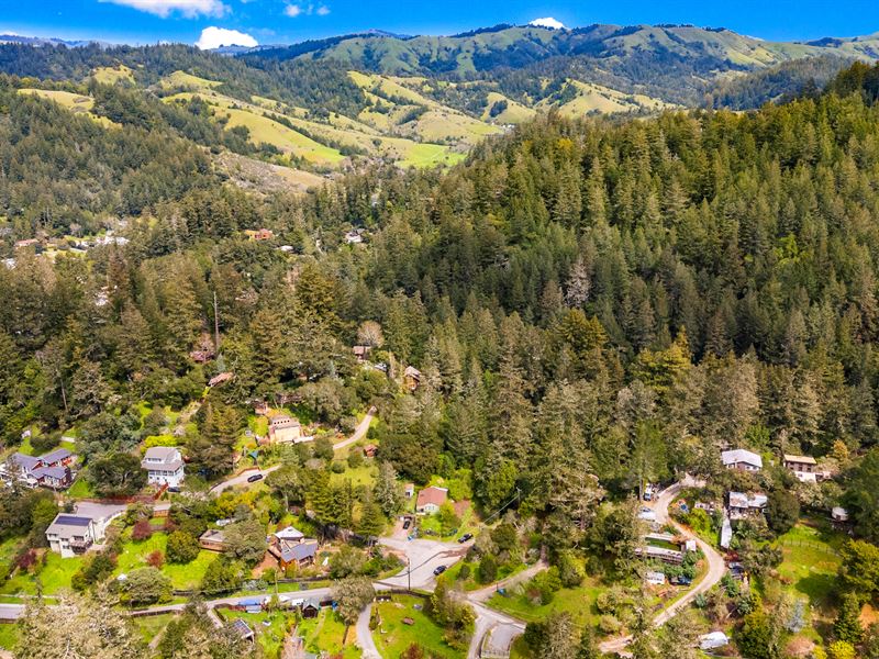 Only 1 Hour From San Francisco : Forest Knolls : Marin County : California
