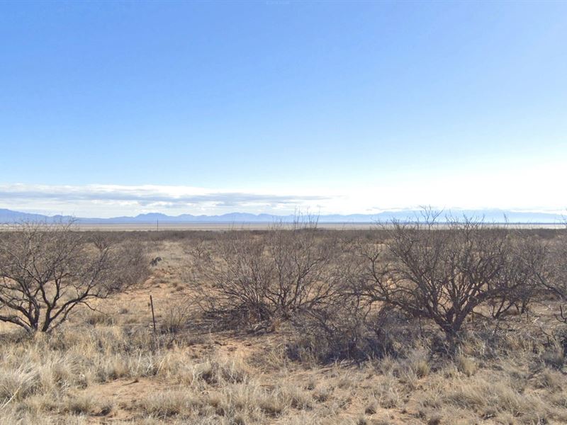 Opportunity to Develop by Dry Lake : Cochise : Cochise County : Arizona