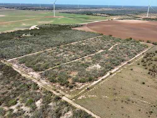 20 Acres in Hidalgo County, TX : Edinburg : Hidalgo County : Texas