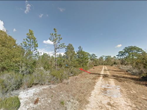 Own Land in Interlachen, $214/Mo : Interlachen : Putnam County : Florida