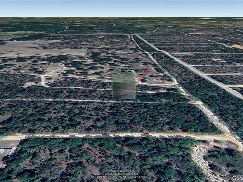 Homestead in Hawthorne, FL $357/Mo : Hawthorne : Putnam County : Florida