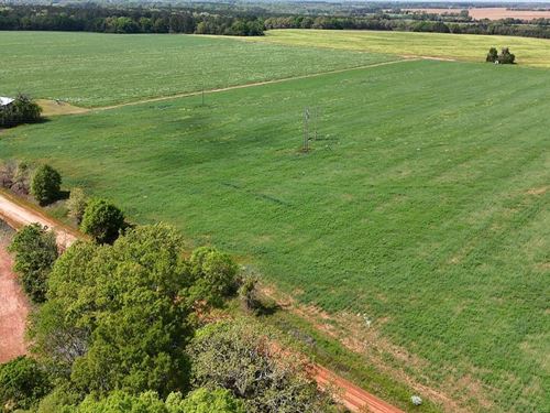 19.87 Ac, Dale Co, Auburn Parker : Hartford : Dale County : Alabama