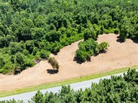 8.64 Acre Homesite Lot For Sale : Pelham : Caswell County : North Carolina