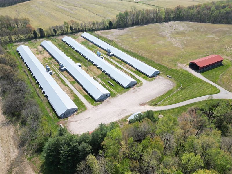 Neal Broiler Farm : Calhoun : McLean County : Kentucky