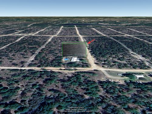 Hawthorne, FL Lot, Just $193/Mo : Hawthorne : Putnam County : Florida