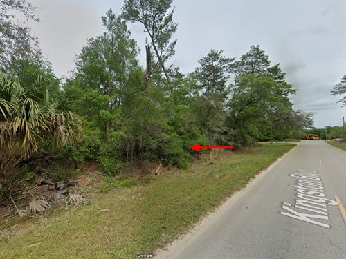 Paved Rd, Satsuma, Only $317/Mo : Satsuma : Putnam County : Florida