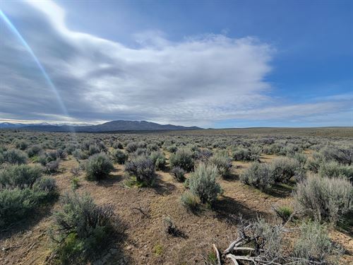 Calling All Adventure Seekers : Elko : Nevada