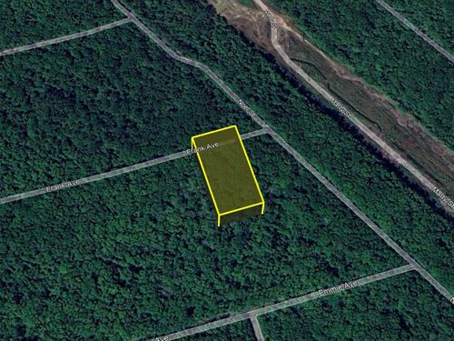 Ditch The Rent, Own Land, $339/Mo : Hastings : Flagler County : Florida